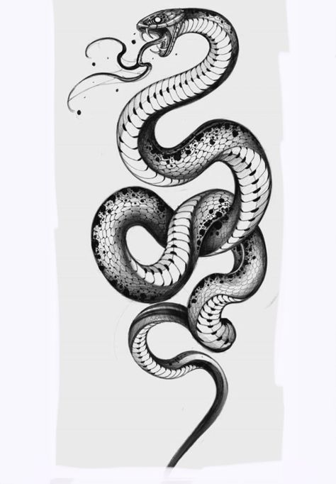 Sketch Snake, Rattlesnake Tattoo, Japanese Warrior Tattoo, Snake Sketch, Japanese Snake Tattoo, Medieval Tattoo, Snake Drawing, Mens Shoulder Tattoo, Snake Tattoo Design