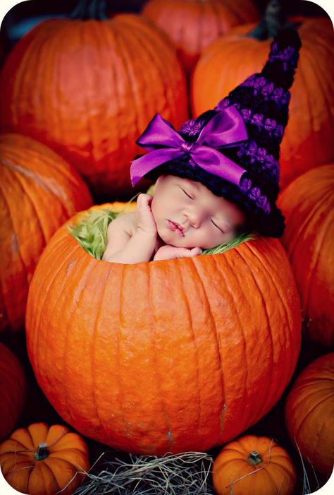 halloween witch pumpkin Pictures For Babies, Fall Baby Pictures, 6 Month Baby Picture Ideas, Foto Newborn, Newborn Halloween, Baby First Halloween, Newborn Baby Photoshoot