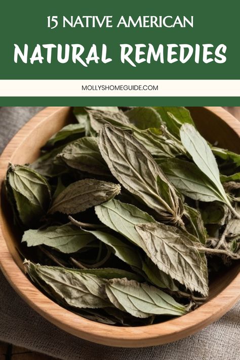 Discover the rich tradition of Native American medicinal herbs with our collection of herbal remedies and healing plants. Explore the ancient practice of Indian Herbalogy in North America, incorporating sacred herbs for their powerful natural benefits. Learn about traditional Native American Herbal Medicine and the art of using herbs for various health remedies. From indigenous recipes to traditional healing practices, delve into the world of Native American Herbs and Remedies passed down throug Indigenous Recipes, Native American Healing, Native American Remedies, Indigenous Medicine, Native American Herbs, Medicinal Herbs Remedies, Herbs Remedies, Sacred Herbs, Native American Medicine