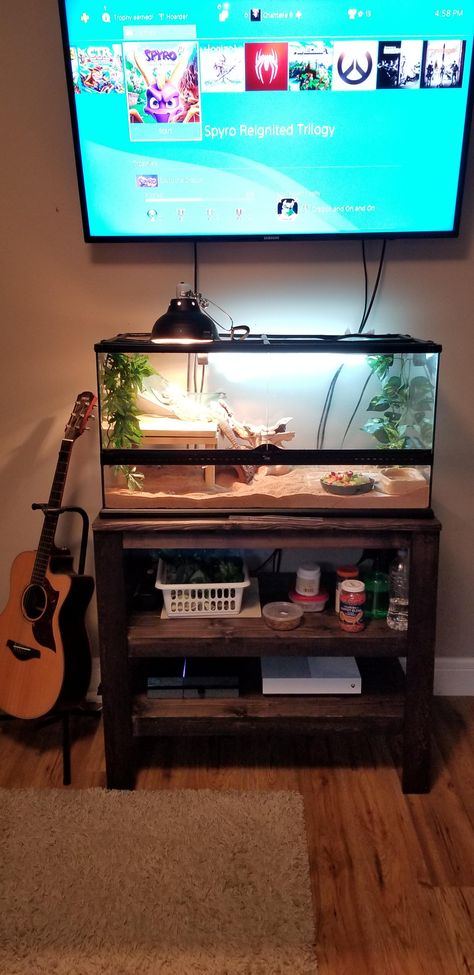 Reptile Tank Stand Diy, Reptile Tank Stand Ideas, Diy Reptile Enclosure Furniture, Reptile Tank Stand, Preteen Boys Bedroom, Small Room Inspo, Dark Wood Shelves, Hedgehog Cage, Bearded Dragon Tank