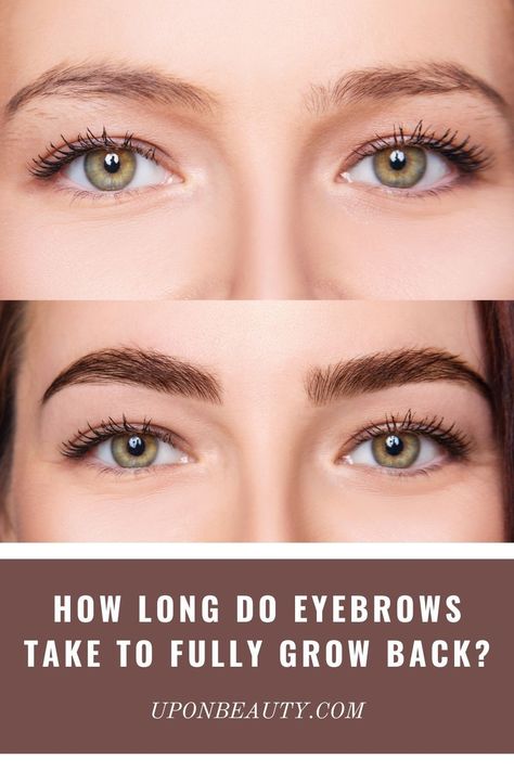 Grow Eyebrows Back, Regrow Eyebrows Fast, How To Increase Eyebrows Hair Growth, Growing Out Eyebrows Stages, Growing Eyebrows Out, Growing Out Eyebrows Before And After, How To Grow Out Eyebrows, Brow Serum Before And After, Eyebrows Growing Out Tips