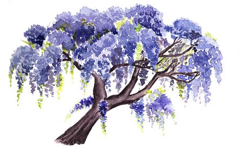 Wisteria Tree, Abstract Tree Painting, Tree Tattoo Designs, Tree Sketches, Watercolor Tree, Watercolour Inspiration, Flower Sketches, Abstract Tree, Watercolor Trees