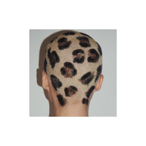 Cheetah Print Shaved Head, Buzz Cut Art, Bleached Buzz, Abe Cunningham, Dyed Buzzcut, Buzz Designs, Cheetah Print Hair, Cheetah Hair, Shaved Head Designs