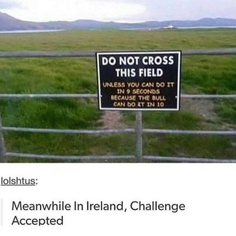 I'd do it if I could run lol Have A Laugh, Komik Internet Fenomenleri, Funny Signs, A Sign, Tumblr Funny, Bones Funny, Funny Posts, Funny Cute, Puns