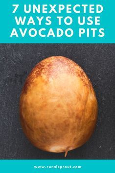 Who knew you could do so much with the seed of an avocado? What To Do With An Avocado Seed, Eating Avocado Benefits, What To Do With Avocado Seeds, Avacodo Tree From Seed, Benefits Of Avocado Seeds, Avocado Seed And Alcohol For Pain, How To Grow Avacoda From Seed, Avocado Seed Growing How To, Avocado Seed Tea Benefits