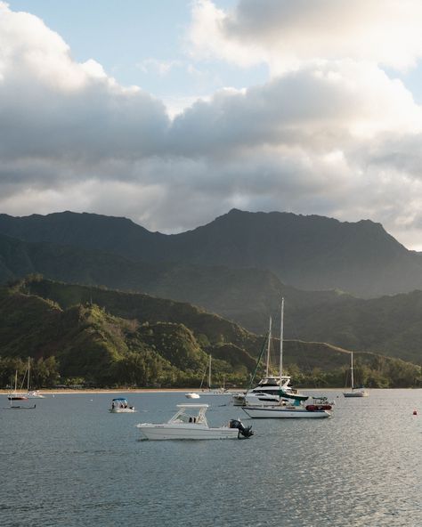 Golden hour moments in Hanalei Bay 📍 Kaua’i, Hawaii 📷 @sonyalpha 7 IV #napalicoast #kauaihawaii #travelhawaii #hawaiitag Napali Coast, Hanalei Bay, Kauai Hawaii, Hawaii Travel, Golden Hour, Hawaii, In This Moment, Quick Saves