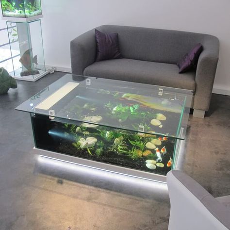 Top 40 Amazing Aquarium Coffee Table Design Ideas - Engineering Discoveries Table Aquarium, Aquarium Table, Fish Tank Table, Fish Tank Coffee Table, Aquarium Coffee Table, Custom Aquarium, Wall Aquarium, Glass Fish Tanks, Amazing Aquariums