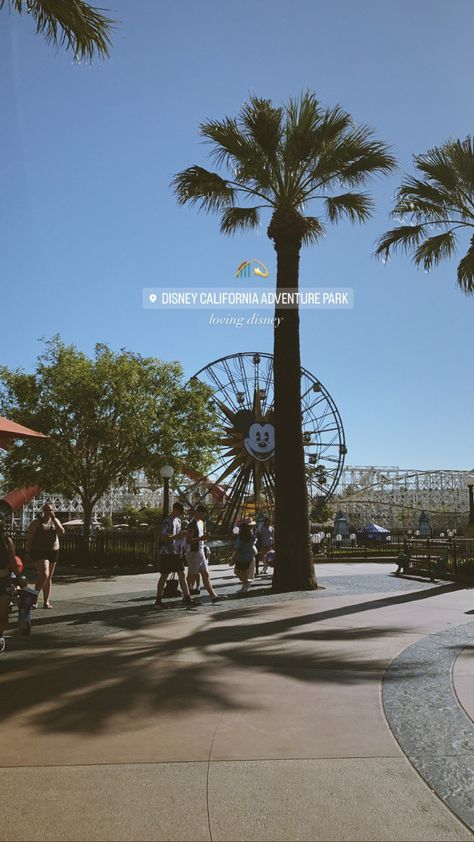 Disneyland Ig Stories, Disneyland California Photo Ideas, Disneyland Story Instagram, Disney Ig Story, Disney Insta Story, Disney California Adventure Photo Ideas, Disney Instagram Story Ideas, Disneyland Instagram Stories, Disneyland California Aesthetic