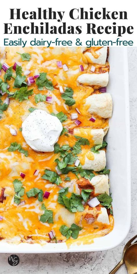 Gluten Free Dairy Free Recipes Dinner, Gluten Free Dairy Free Dinner, Healthy Chicken Enchiladas, Dairy Free Lunch, Dairy Free Cooking, Gf Dinner, Chicken Enchiladas Recipe, Dairy Free Recipes Dinner, Dairy Free Dinner