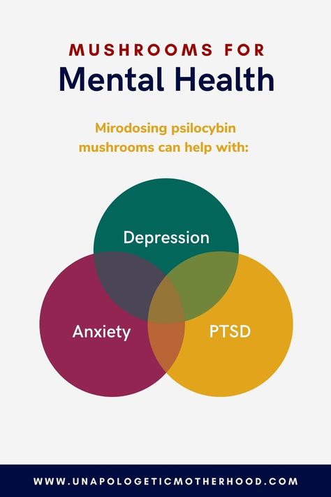 Want to utilize plant medicine for better overall wellness? We're sharing how you can microdose mushrooms to do just that. We are sharing the basics you need to know for responsible use so you can see all of the improved mental health benefits for busy moms. | Psilocybin | Mushrooms | Magic Mushrooms | Micro-dosing | Micro Dose Mushroom, Micro Dosing Mushroom, Psilocybin Benefits, Microdose Mushrooms, Microdosing Mushrooms, Micro Dosing, Menstrual Cycle Phases, Psilocybin Mushrooms, Mushroom Benefits