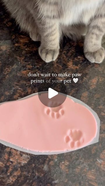 Liam (clingy cat) & Julia on Instagram: "easy paw print DIY 🐾 recipe by @the.fantastic.furr - check out their page for all the instructions! 💗

would you try this?

#pawprints #catlover #catsofinstagram #cutecat #petDIY #DIY #petcraft #orangecat #catenrichment" Cat Prints Paw, Diy Gifts For Pet Lovers, Pet Paw Print Art Diy, Paw Print Clay Diy, Cute Diy Clay Crafts, Diy Cat Crafts, Cat Paw Print Art, Diy Dog Paw Print, Paw Print Art Diy