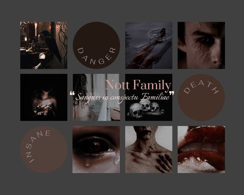 Nott Family members are dark and mysterious and J.K.Rowling has not disclosed a detailed description because (according to me) she wants us all to come up with possiblitis and does not want to limit our imagination with canon. Nott Family Harry Potter, Slytherin Room, Aesthetic Family, Family Aesthetic, Potter Aesthetic, Harry Potter Aesthetic, Harry Potter Party, Harry Potter, I Love