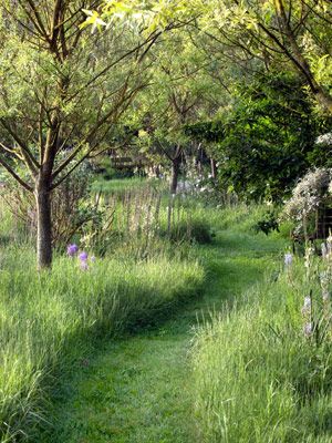 Let an area of the lawn grow wild, then create a path through the tall grass with a riding mower or weedwacker | countryliving.com Walkway Landscaping, Trees And Flowers, Meadow Garden, Desain Lanskap, Have Inspiration, Garden Pathway, Landscaping Tips, Front Yard Garden, Garden Tours