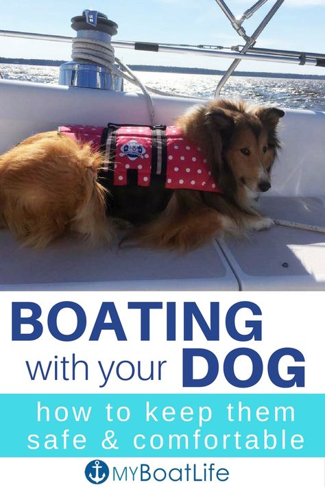 Dog boat safety is more than just doggy life jackets - Here are ideas to keep dogs safe & comfortable on your boat. #boats #boatlife #boating #boatdogs #boatingdogs #sailing Dogs On Boats, Boat Organization, Pontoon Boat Accessories, Boating Tips, Lake Fun, Sailboat Living, Are Ideas, Life Jackets, Boat Safety