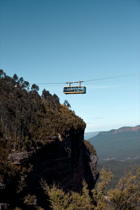 A great way to truly immerse yourself into the beauty of The Blue Mountains is by visiting Scenic world, a place that can be found nowhere else on Earth! Boasting sweeping views of iconic landmarks, the worlds steepest railway, scenic skyway and boarded rainforest floor, this is an incredible way of exploring the iconic Blue Mountains. Scenic World Blue Mountains, Rainforest Floor, Blue Mountains Australia, Nature Magic, The Blue Mountains, Blue Mountains, Iconic Landmarks, Blue Mountain, Travel Guides