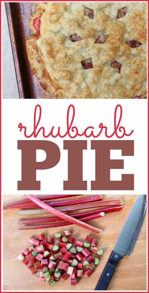 Fresh Rhubarb Pie recipe -- your family will love this simple homemade rhubarb pie recipe! #rhubarbpie #rhubarb #summerpie #pie #frugalllivingnw Easy Strawberry Rhubarb Pie, Rhubarb Pie Recipe, Rhubarb Rhubarb, Strawberry Rhubarb Pie Recipe, Rhubarb Recipes Pie, Newfoundland Recipes, Fresh Rhubarb, Rhubarb Desserts, Rhubarb Jam