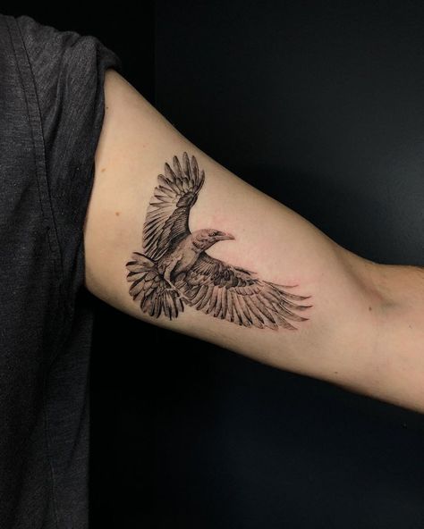 Eagle Tattoo Inner Bicep, Lotr Eagles Tattoo, Eagle Bicep Tattoo, Inner Biceps Tattoo, Eagle Tattoo For Women Feminine, Eagle Tattoo Design, Tattoo Bicep, Falcon Tattoo, Adler Tattoo