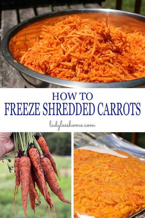 How to Freeze Shredded Carrots - a step-by-step tutorial. I freeze it in portions according to my carrot cake recipe so it's super easy to make carrot cake later. #howtofreezeshreddedcarrots #howtopreservecarrots #carrotrecipes Freeze Shredded Carrots, Preserving Carrots, Garden Preservation, Preserving Produce, Prepper Skills, Freezing Carrots, Freeze Fruit, Chicken Processing, Freeze Food