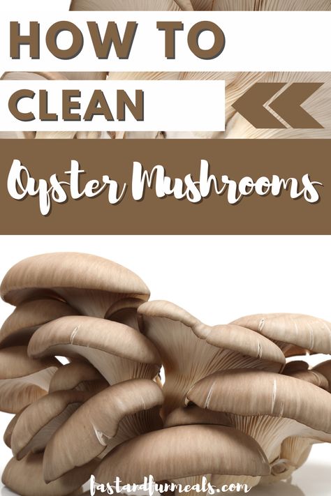 Oyster Mushroom Recipe, Cooked Oysters, Fresh Oysters, Oyster Mushrooms, Mushroom Recipes, Be Prepared, Of Course, Clean Eating, Read More