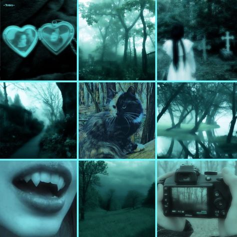 Moodboard F2u, Fursona Moodboard, Scene Moodboard, Animal Moodboard, Cat Moodboard, F2u Moodboards, Oc Moodboard, Aesthetic Types, Adopt Idea