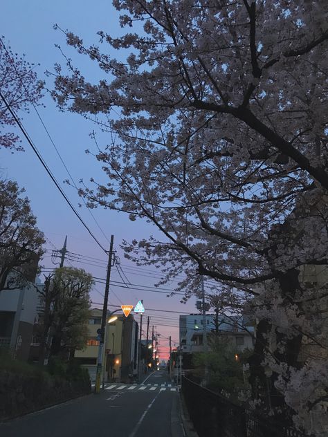 Sunset In Tokyo, Japanese Park Aesthetic, Japan Aesthetic Purple, Living In Tokyo Aesthetic, Tokyo Revengers Shifting, Tokyo Revengers Vibes, Tokyo Revengers Aesthetic, Tokyo Sunset, Japan Place