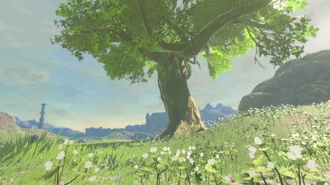 Hyrule Background, Totk Landscapes, Ipad Background Landscape, Legend Of Zelda Landscape, Tears Of The Kingdom Aesthetic, Breath Of The Wild Scenery, The Legend Of Zelda Aesthetic, Breath Of The Wild Landscape, Botw Scenery