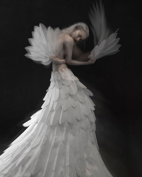 Sylph Sia on Instagram: “I truly love having the (all too rare) opportunity to work with female creatives, I only wish there were more in this industry! Here’s one…” Albino Peacock, Photo Hair, Peacock Dress, White Peacock, Peacock Art, Paper Sculpture, Inspired Dress, Victorian Dress, Hair Makeup