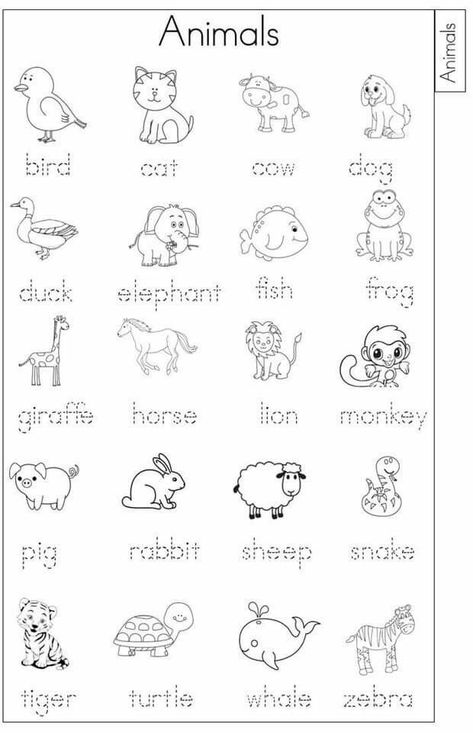 Tracing Animals Worksheets, Animal English Worksheet, Animal Tracing Worksheets Preschool, English Animals Worksheet, Worksheet Animals For Kids, Animals Worksheet For Grade 1, Animal Worksheets Preschool, Animal Worksheets For Kids, Animal Names For Kids