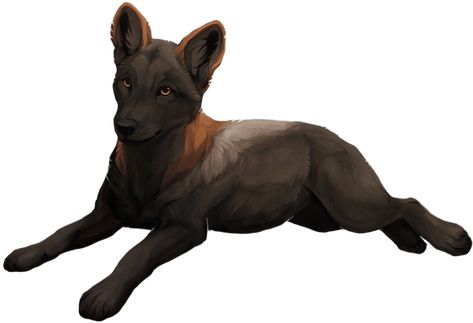 Merrick by savage Wolf Pup Art, Feral Oc, Dnd Portraits, Anime Wolves, Dog Design Art, Wolf Designs, Cute Dog Drawing, Canine Drawing, Wolf Pup