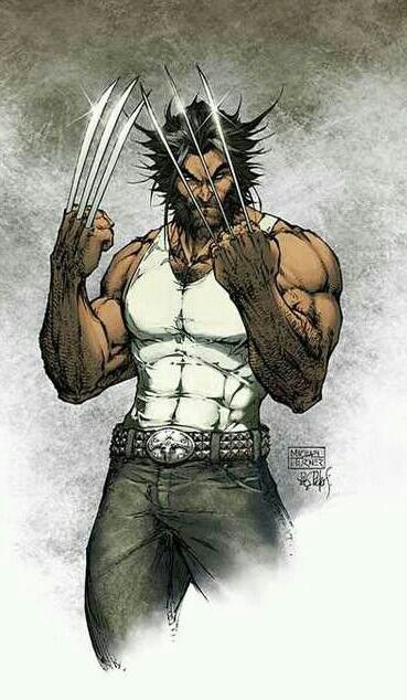 Logan Wallpaper Marvel, Michael Turner, Wolverine Art, Comics Anime, The Wolverine, Logan Wolverine, Wolverine Marvel, Arte Dc Comics, Bd Comics