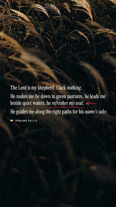 Psalms 23 3, I Lack Nothing, Desperate People, Inspiration Bible Verses, Prayer Images, Psalms 23, Conversations With God, Biblical Wisdom, Memory Verses