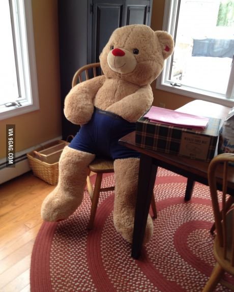 My girlfriend got me a giant teddy bear for Valentine's day. I left it at my parent's house and this happened today. Teddy Bear For Girlfriend, Funny Baby Images, Justin Bieber Jokes, American Funny Videos, Funny Dresses, Indian Funny, Giant Teddy Bear, Giant Teddy, Best Funny Photos