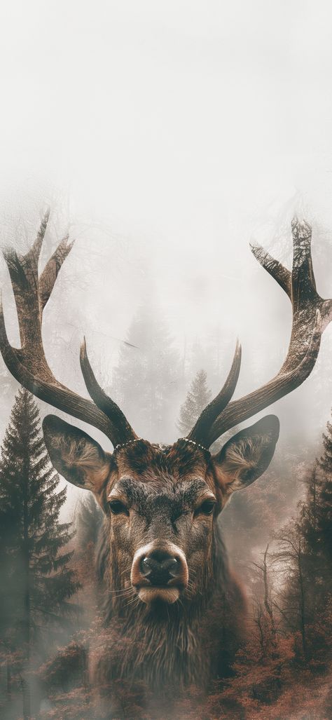 Stag Wallpaper Iphone, Buck Wallpaper Iphone, Cool Hunting Wallpapers, Hunting Background Wallpapers, Deer Phone Wallpaper, Deer Astethic, Country Backgrounds Iphone, A I Wallpaper, Forest Animals Tattoo