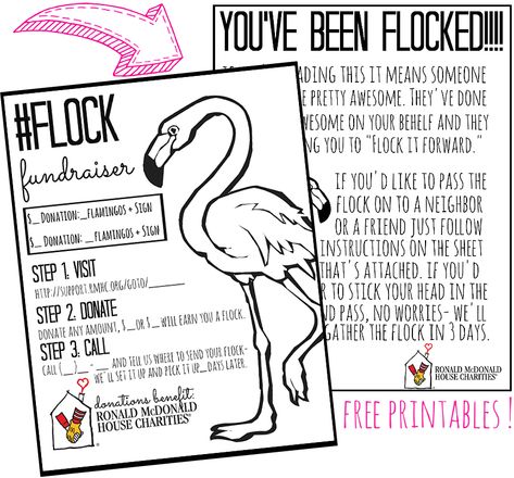 Momma Told Me: How To Run A "Flocked" Fundraiser Event (With Free Printables) #RaiseLove Flock My Yard Fundraiser, Gymnastics Fundraising Ideas, Personal Fundraising Ideas, Flocked Fundraiser, Flocking Fundraiser, Flamingo Fundraiser, Neighborhood Games, You've Been Flocked, Pto Fundraisers