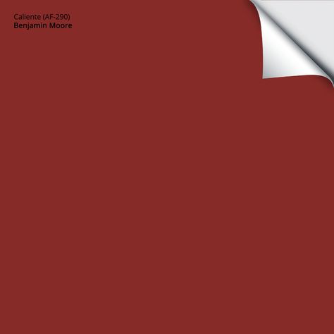 Benjamin Moore Caliente (AF-290) Peel-and-Stick Paint Sample Red Paint Colors, Red Bay, Red Front Door, Paint Sample, Kitchen Paint Colors, Front Door Colors, Red Barns, Paint Samples, Paint Colors For Home