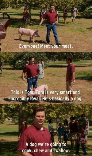 Meet your meat.  Then eat your meat. #bacon Ron Swanson Meme, Mean Jokes, Funny Couple Pictures, Ron Swanson, Parks N Rec, Funny Couples, Parks And Recreation, Funny Cartoon, Funny Cartoons