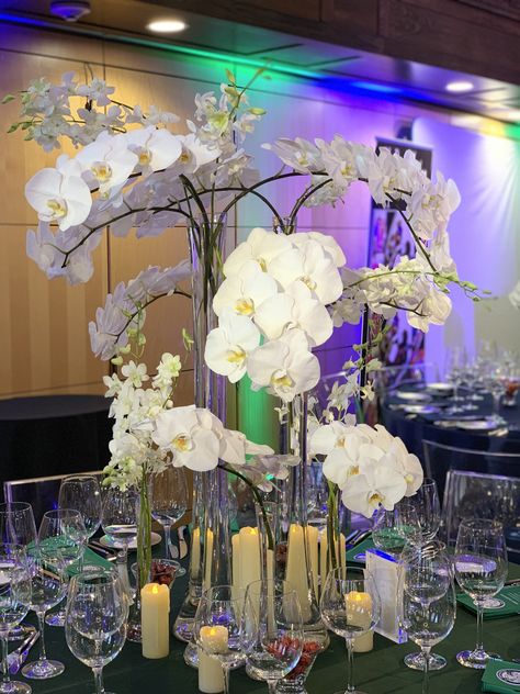 Phalenopsis and dendrobium orchid centerpieces Orchid Ceremony Decor, Dendrobium Orchids Centerpiece, Orchid Centrepiece Wedding, White Dendrobium Orchids Centerpiece, White Phalaenopsis Orchid Centerpiece, Dendrobium Orchid, Dendrobium Nobile, Orchid Centerpieces, Dendrobium Orchids