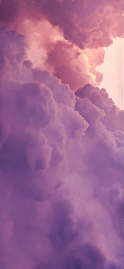 Purple And Peach Aesthetic, Purple Bg, Purple And Peach, Peach Aesthetic, Sky Aesthetic, Pastel Aesthetic, Iphone Wallpapers, Aesthetic Wallpaper, House Plants