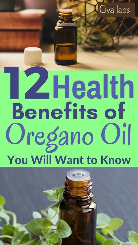 oil of oregano Benefits Of Oregano, Oregano Oil Benefits, Oregano Essential Oil, Healthy Holistic Living, Oregano Oil, Essential Oil Benefits, Healthy Benefits, Oil Benefits, Holistic Living