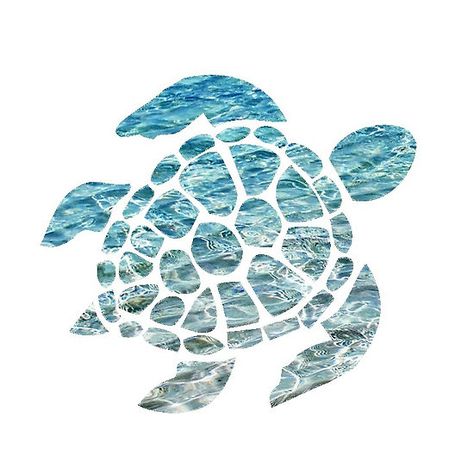 Sea Turtle Sea Turtle Wallpaper, Turtle Background, Beachy Wallpapers, Kayak Stickers, Sea Turtle Pictures, Turtle Wallpaper, Turtle Sticker, Beach Wall Collage, Ocean Turtle