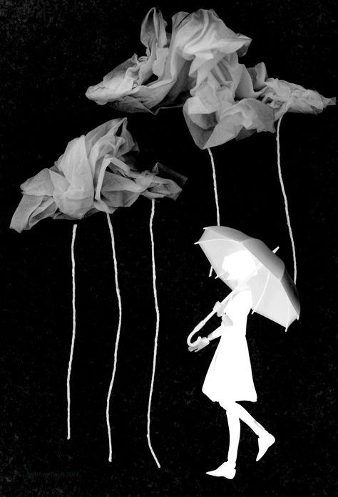 Photograms Ideas, Cyanotype Inspiration, Foto School, Dark Room Photography, A Level Photography, Room Photography, Gladiolus Flower, Lost In The Woods, Experimental Photography