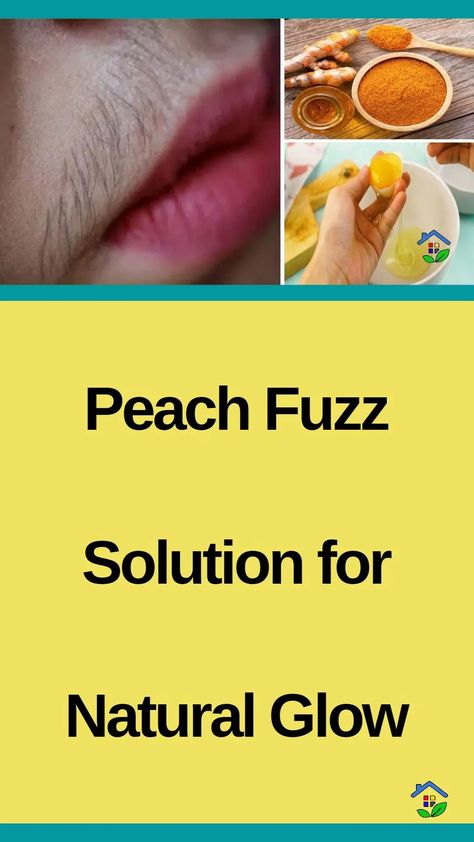 Take control of your beauty and get ready to bid Farewell to peach fuzz with these two grandma recipes to get rid of that annoying facial hair. Peach fuzz is the soft, fine hair that develops naturally on the face, particularly on the upper lip. It is known as “peach fuzz” because it resembles the […] Peach Fuzz On Face, Grandma Recipes, Upper Lip Hair, Face Home, Peach Hair, Grandmas Recipes, Peach Fuzz, Upper Lip, Face Hair