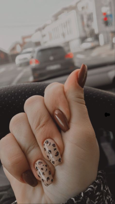 Animal Print Nail Art, Print Nail Art, Animal Print Nails Art, Short Square Nails, Extension Designs, Classic Nails, Animal Print Nails, Autumn Nails, Classy Nails