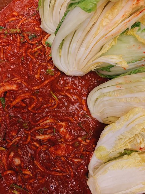 Kimchi Aesthetic, Korean Food Photo, Traditional Kimchi Recipe, Traditional Kimchi, Korean Cabbage, Making Kimchi, Fresh Kimchi, Korean Kimchi, Fermented Cabbage