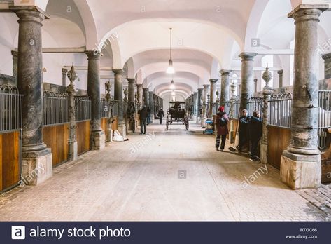 Download this stock image: February 20, 2019. The Royal Stable in Denmark is the city of Copenhagen in the territory of Christiansborg Slot. Old stable with white horses in stal - RTGC66 from Alamy's library of millions of high resolution stock photos, illustrations and vectors. Royal Stables, Travel Savings, Multiple Images, White Horses, Stables, Copenhagen, Equestrian, Denmark, The City