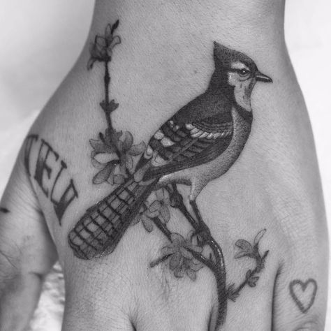 Blue Jay Tattoo Black And White, Jaybird Tattoo, Bluejay Tattoo, Fat Monkey, Realistic Bird Tattoo, Mockingbird Tattoo, Blue Jay Tattoo, Jay Tattoo, White Bird Tattoos