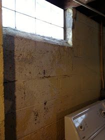 Sealing Basement Walls, Narrow Basement Ideas, Cool Basement Ideas, Basement Apartment Decor, Old Basement, Basement Layout, Basement Gym, Basement Windows, Diy Basement