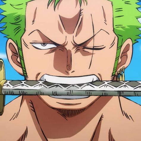 رورونوا زورو, Zoro Roronoa, One Piece Photos, One Piece Wallpaper Iphone, Zoro One Piece, One Piece Comic, One Piece Pictures, One Piece Fanart, Manga Anime One Piece