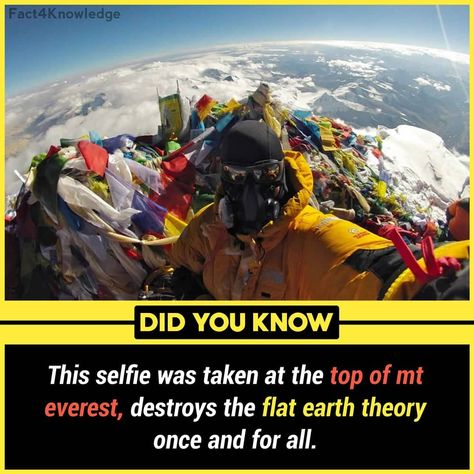 Epic Facts, Earth Is Flat, Wierd Facts, Physiological Facts, Unique Facts, True Interesting Facts, Interesting Facts About World, Cool Science Facts, India Facts