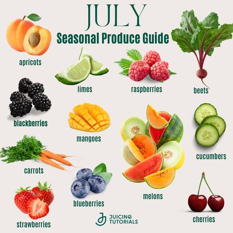 July is the perfect month for juicing with fresh, in-season fruits and vegetables! 🍓🍑🥒 Enjoy the vibrant flavors of melons, cucumbers, strawberries, mangoes, and cherries to make the freshest summer juices. 🌞🍹 Keep your taste buds happy and your body hydrated with these delicious and nutritious ingredients. Cheers to the taste of summer! Best Prebiotic Foods, Seasonal Produce Guide, Summer Juice, Prebiotic Foods, Vegetable Benefits, Food Health Benefits, Fruit Benefits, Healthy Food Facts, Anti Aging Food